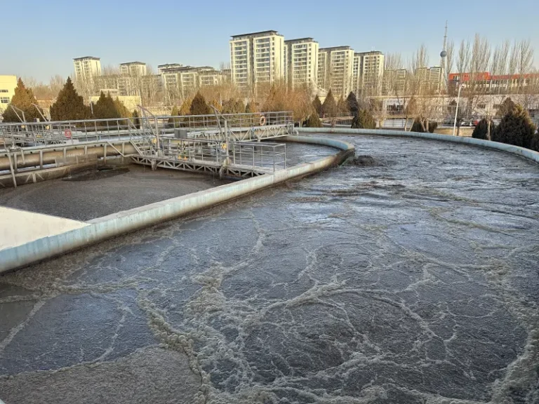 Municipal Wastewater Treatment
