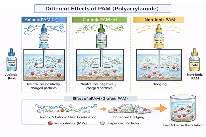 Different Effects of PAM (Polyacrylamide)