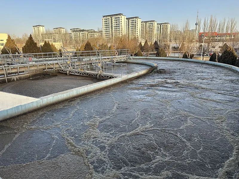 Municipal Sludge Dewatering
