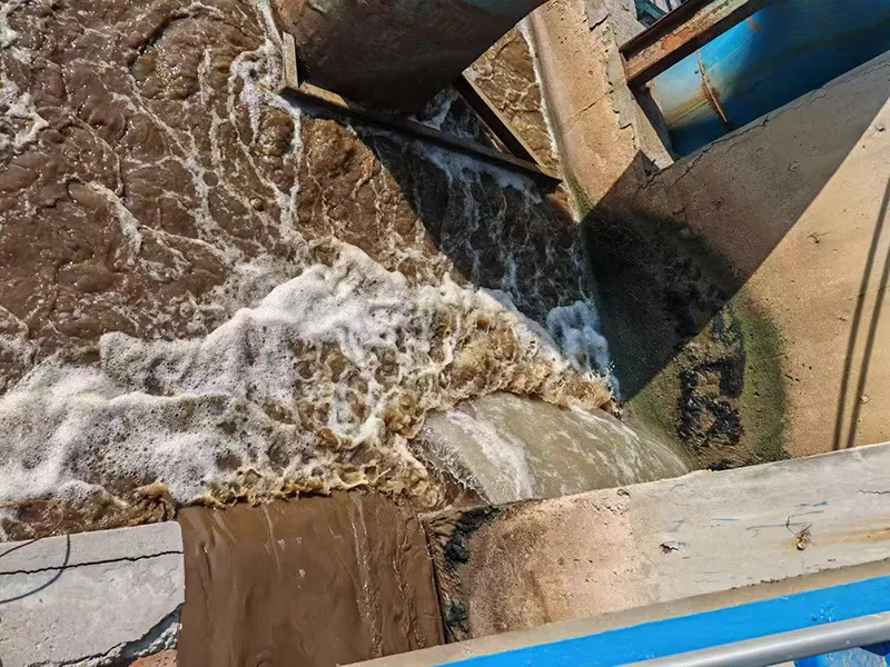 Sludge Dewatering Solutions